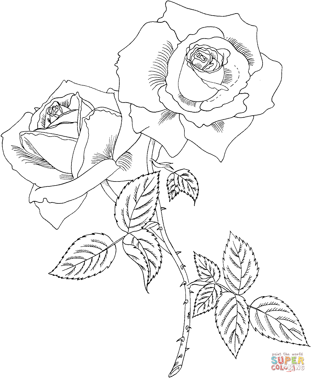 Tropicana hybrid tea rose coloring page free printable coloring pages