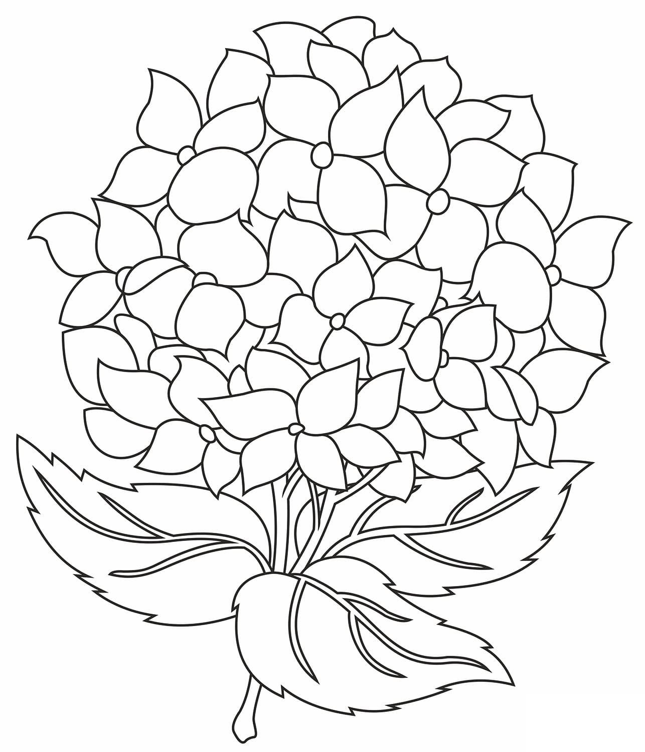 Pretty hydrangea flower coloring page