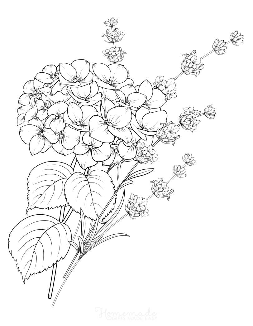 Printable flower coloring pages for adults