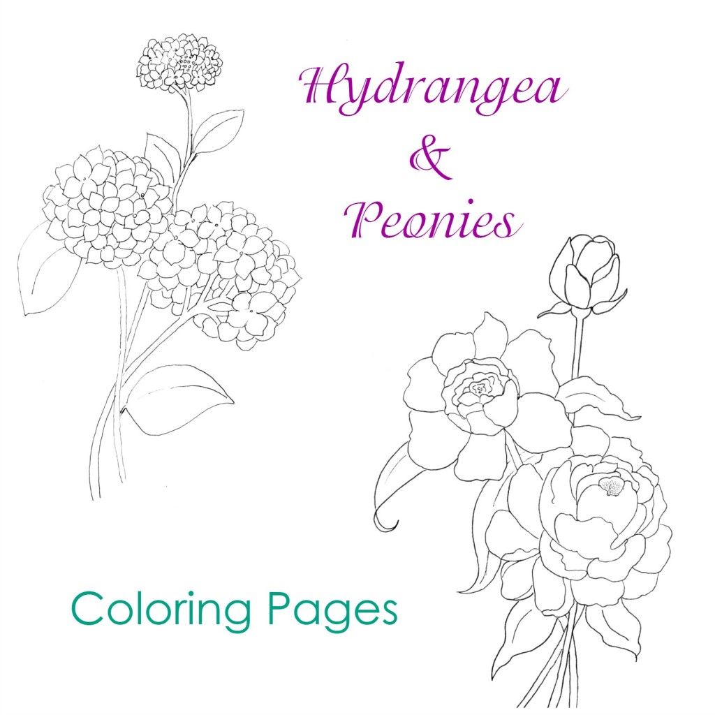 Hydrangea and peonies coloring pages coloring pages flower coloring pages free coloring pages