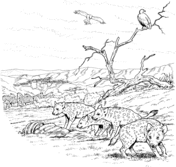 Hyenas coloring pages free coloring pages