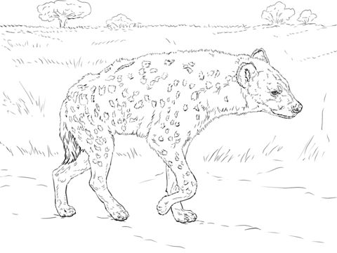 Spotted hyena walking in the savannah coloring page from hyenas category select from priâ farm animal coloring pages animal outline animal coloring pages