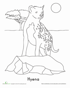 Hyena worksheet education animal coloring pages coloring pages hyena