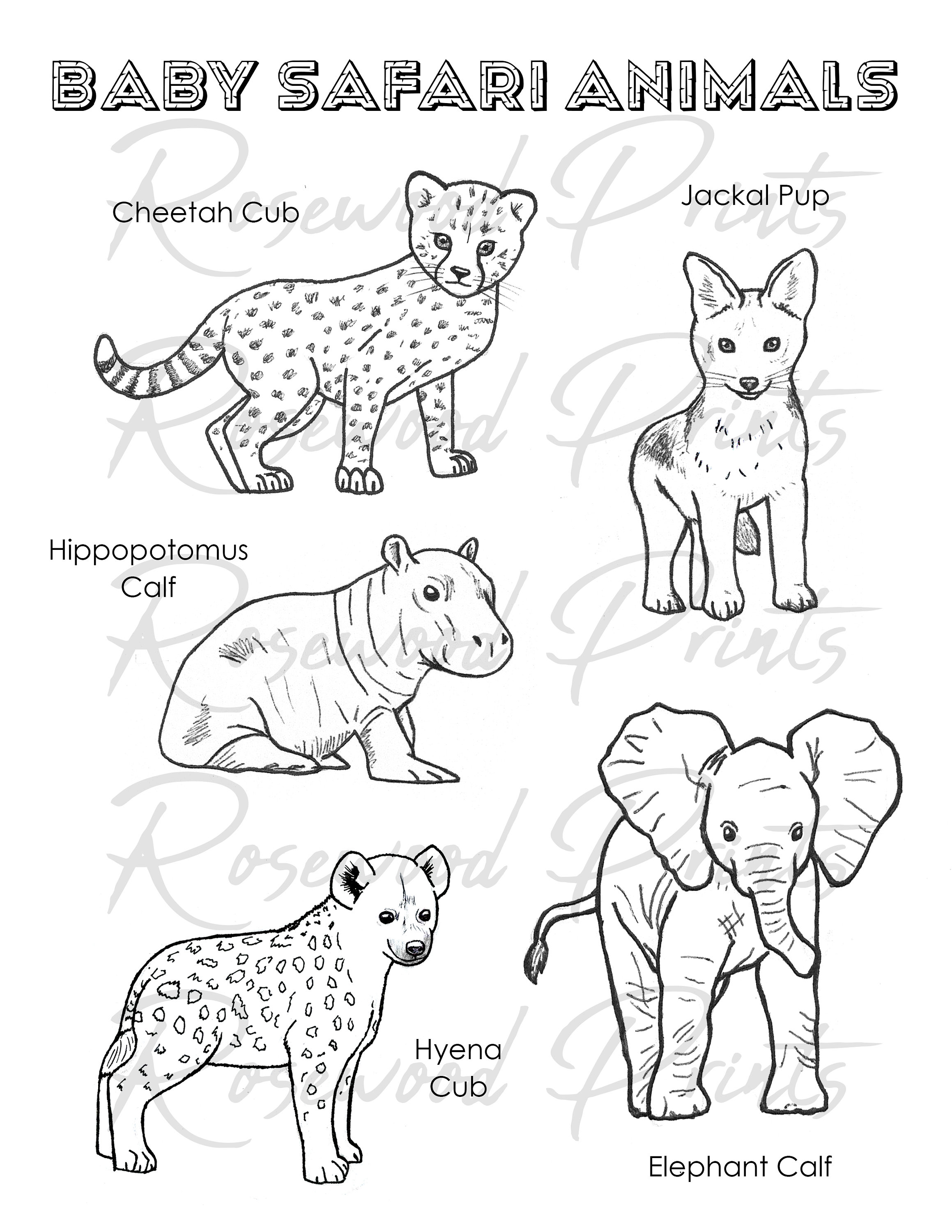 Hyena coloring page