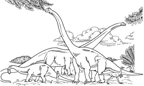 Barosaurus hypselosaurus brachiosaurus and gallimimus parison with human coloring pages free printable coloring pages dinosaur coloring sheets