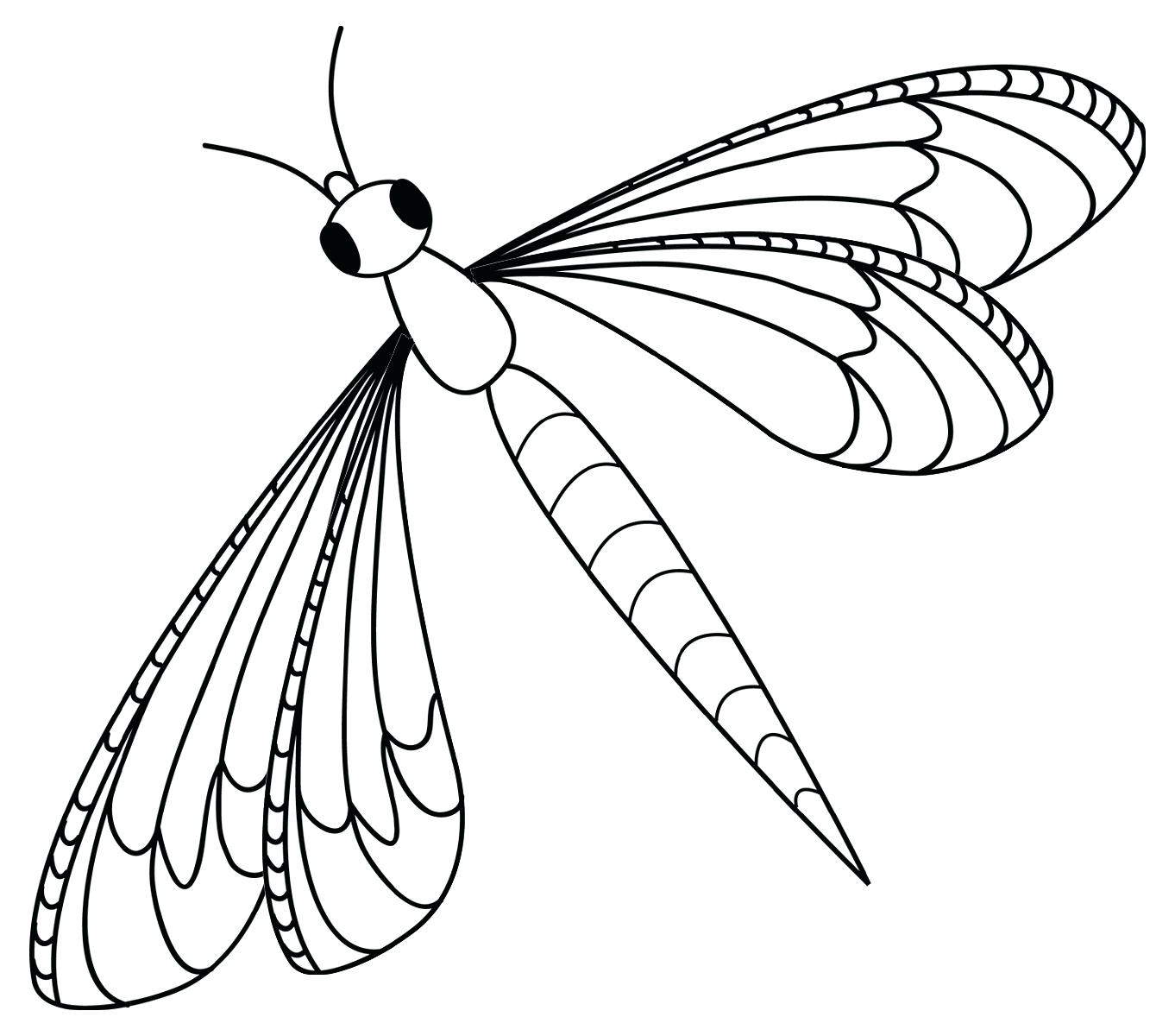 Insect coloring pages