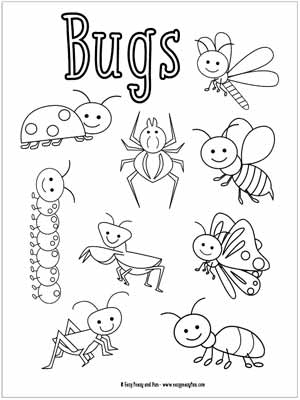 Little bugs coloring pages for kids