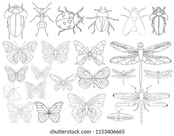 Insects set book coloring pages stock vector royalty free