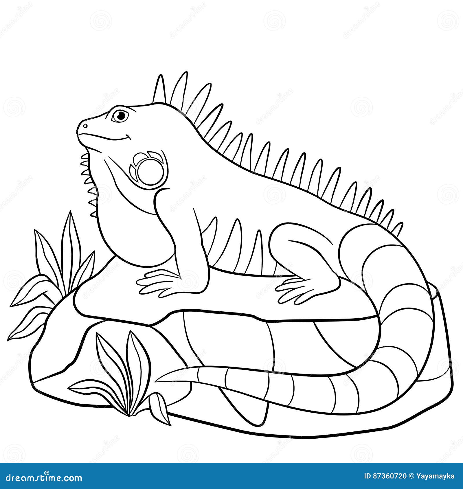 Iguana coloring page stock illustrations â iguana coloring page stock illustrations vectors clipart