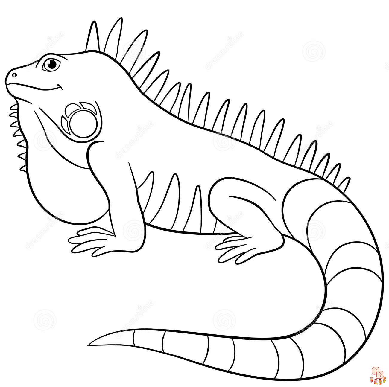 Discover free and printable iguana coloring pages on