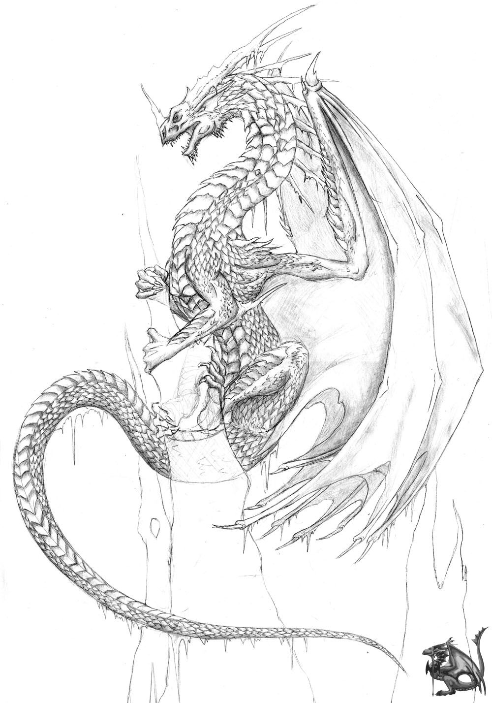 Gargoyles dragons in pencil