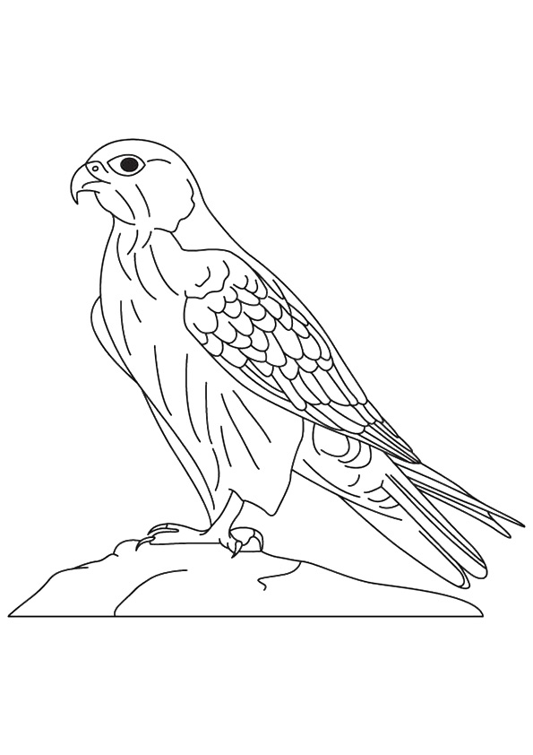 Iceland coloring pages