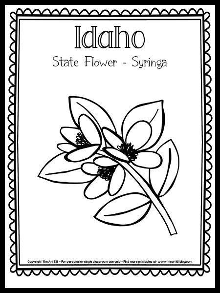 Idaho state flower coloring page syringa free printable flower coloring pages coloring pages detailed coloring pages