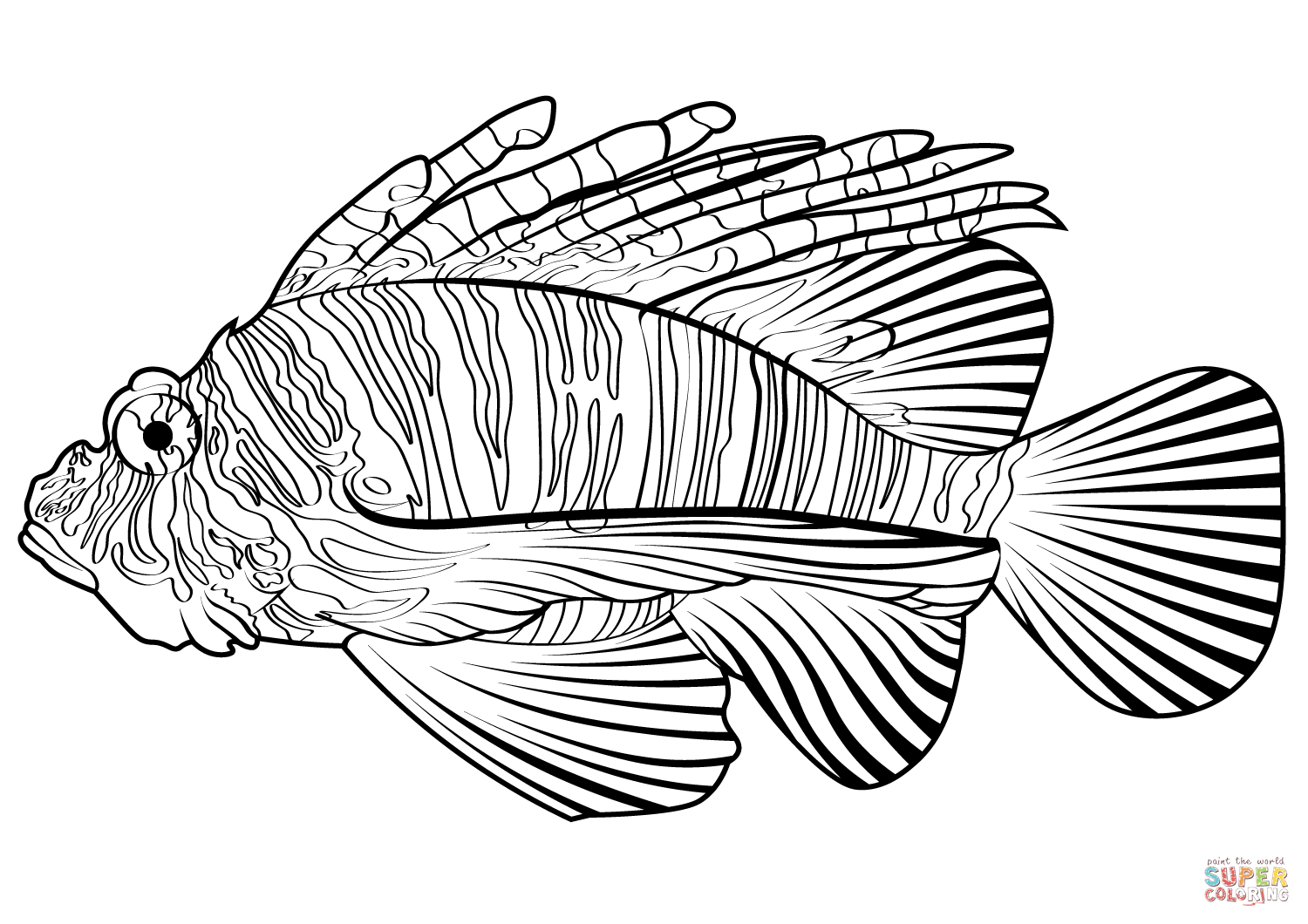 Zebra lionfish dendrochirus zebra coloring page free printable coloring pages