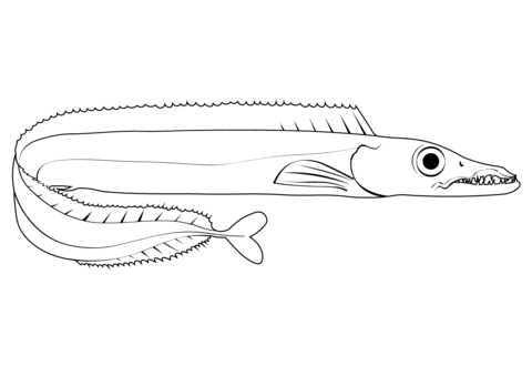 Black scabbardfish aphanopus carbo coloring page free printable coloring pages