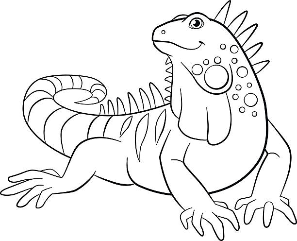 Coloring pages cute iguana smiles stock illustration