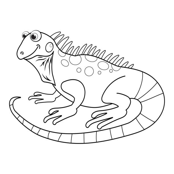 Colorless cartoon iguana coloring pages template page for coloring book of funny lizard or salamander for kids practice worksheet or antistress page for child cute outline education game eps stock illustration