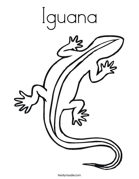 Iguana coloring page