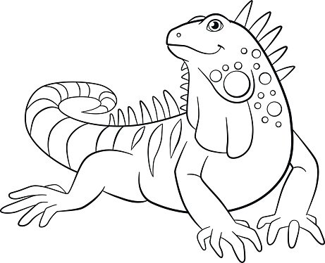 Coloring pages cute iguana smiles stock clipart royalty