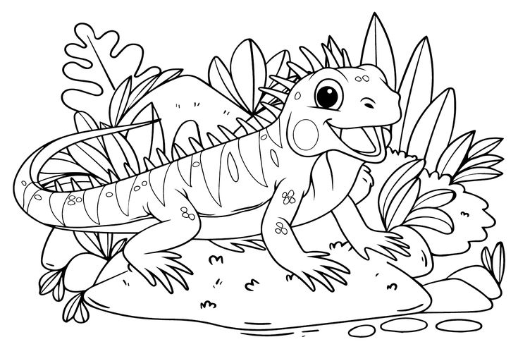 Iguana coloring pages