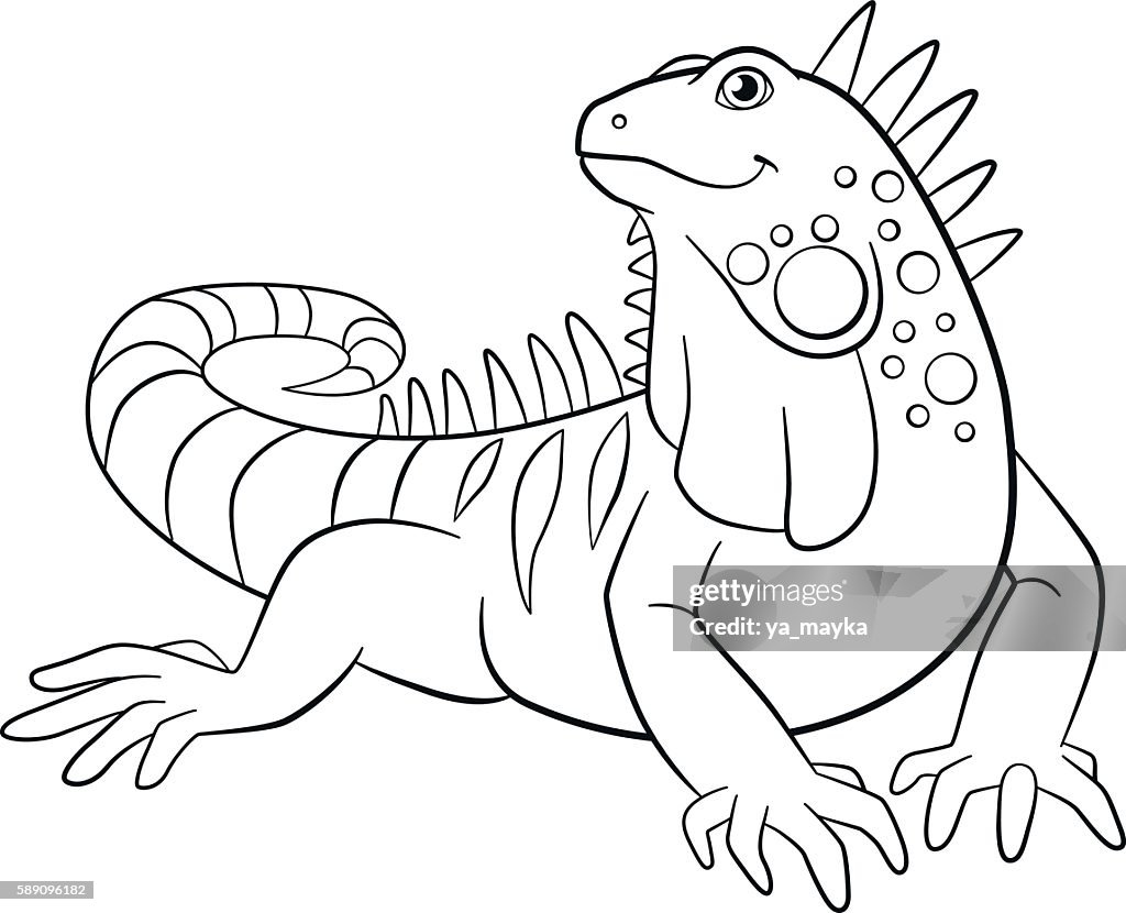 Loring pages cute iguana smiles high