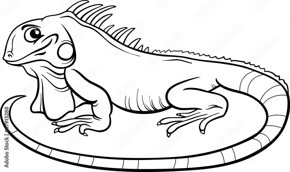 Iguana cartoon coloring book vector