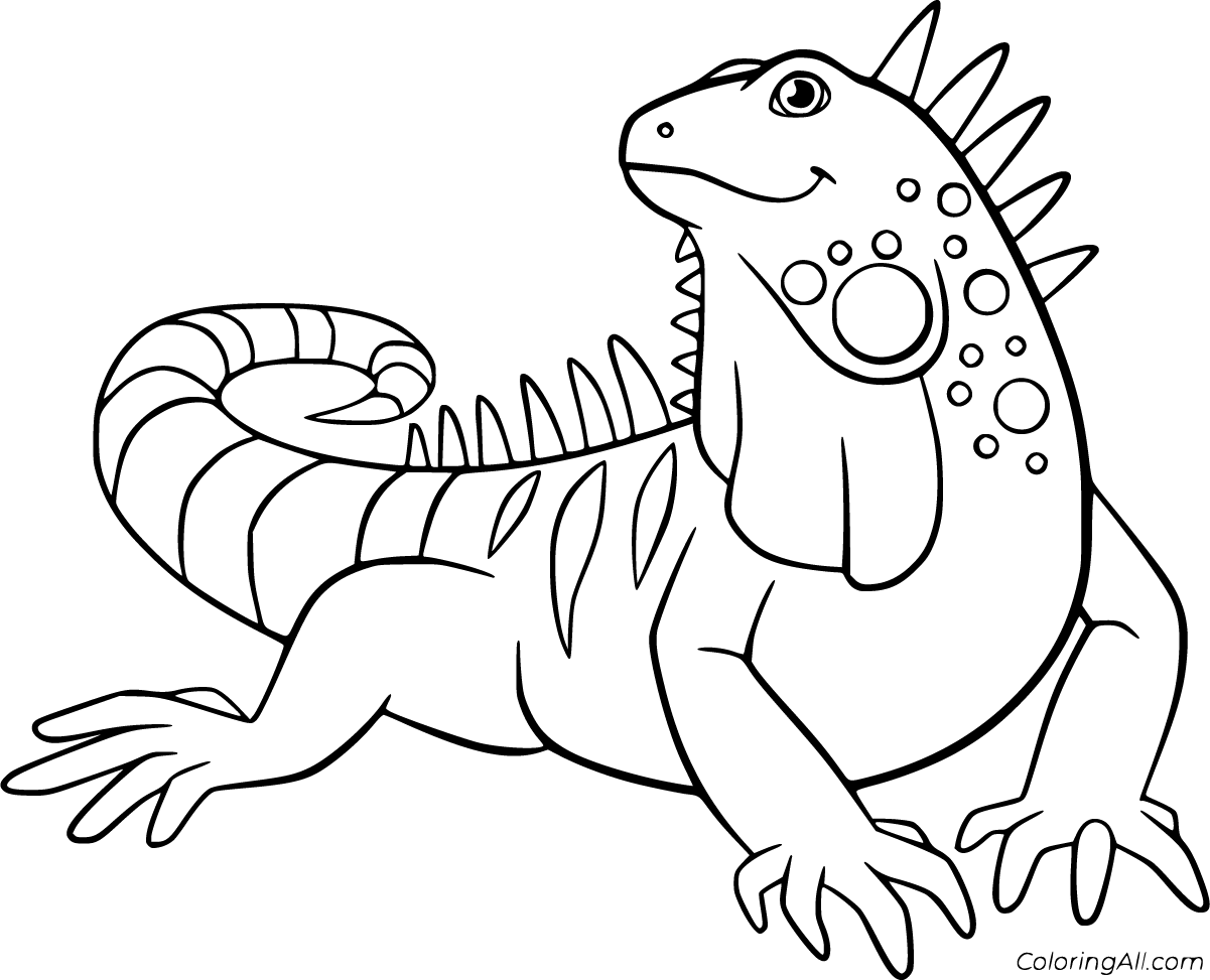 Iguana coloring pages