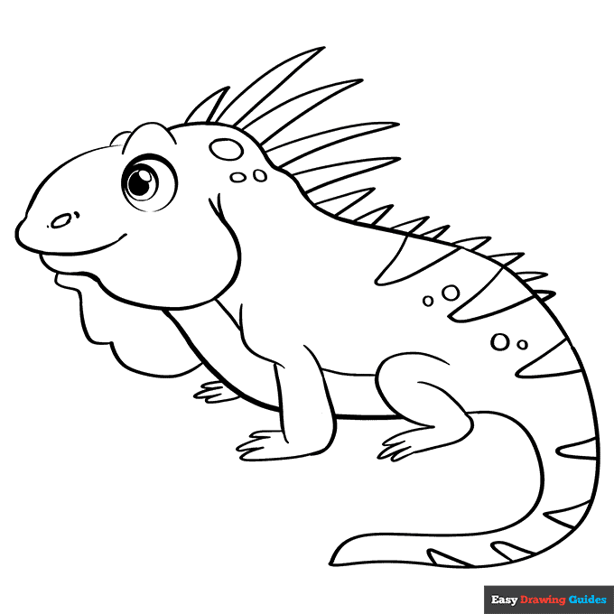 Iguana coloring page easy drawing guides