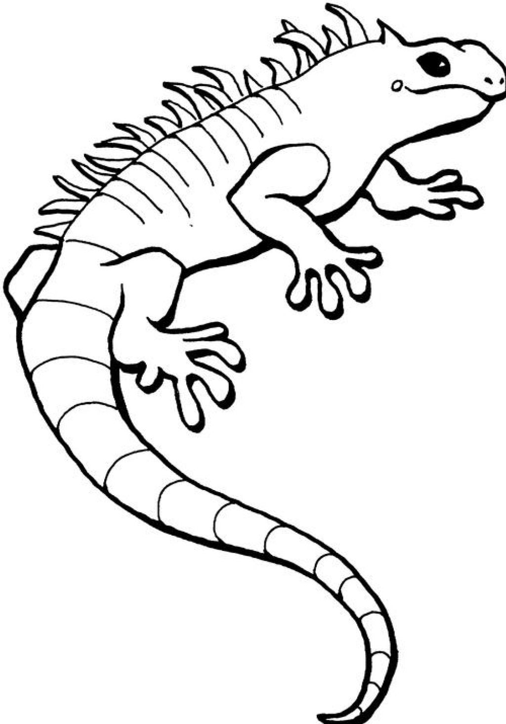 Free printable iguana coloring pages for kids