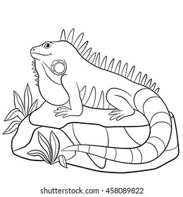 Coloring pages cute iguana sits on stock vector royalty free