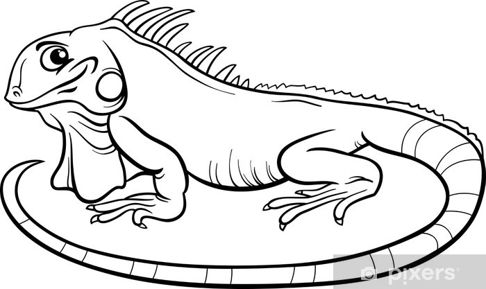 Sticker iguana cartoon coloring book