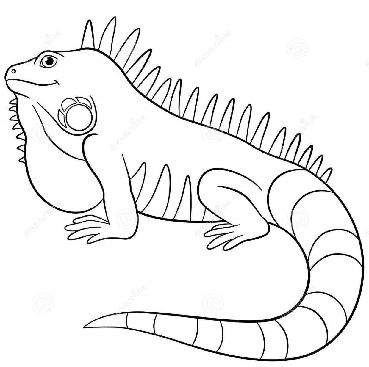 Discover free and printable iguana coloring pages on