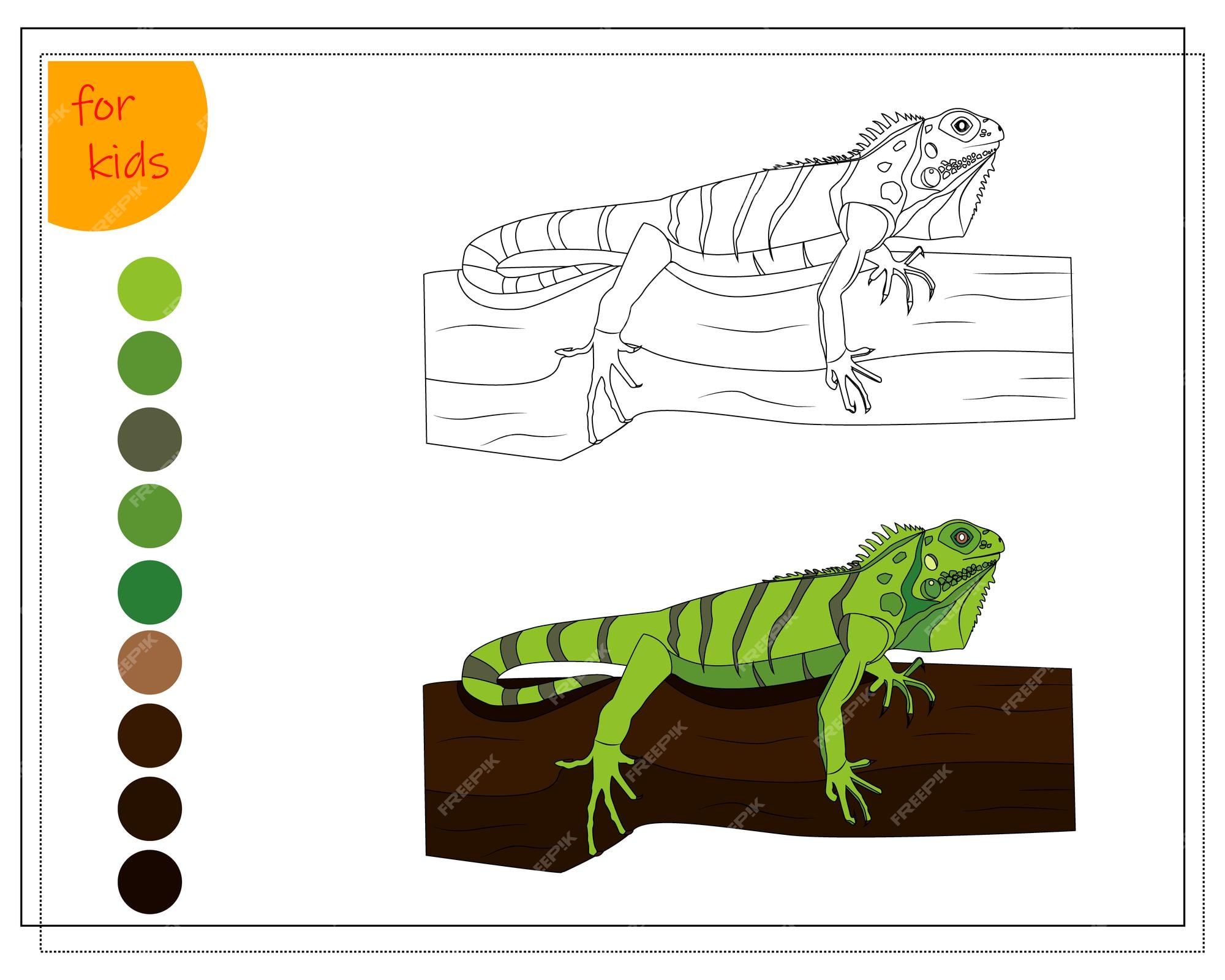 Premium vector coloring book for children by colors a green iguana is sitting on a log