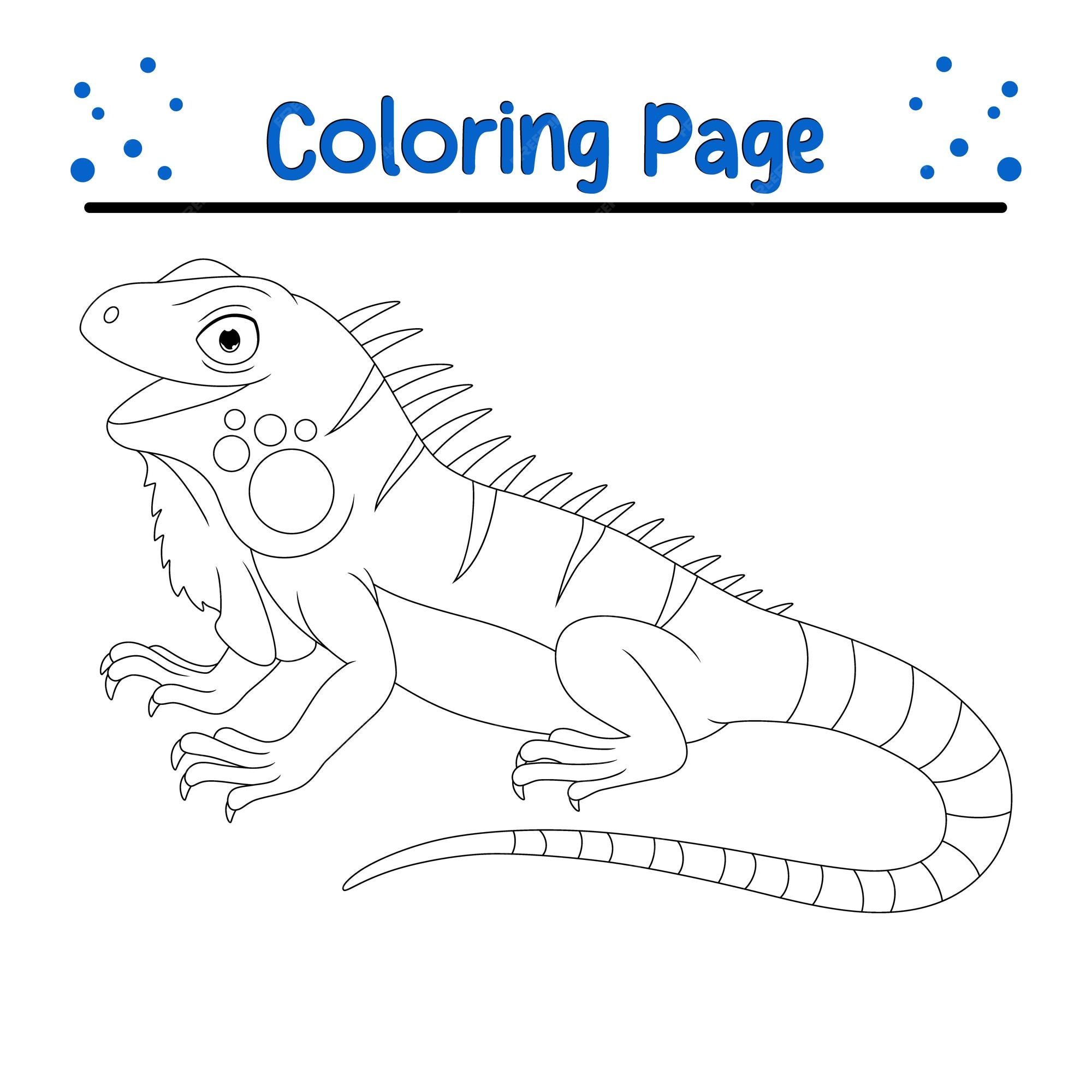 Premium vector cute iguana coloring page isolated for kids animal coloring book