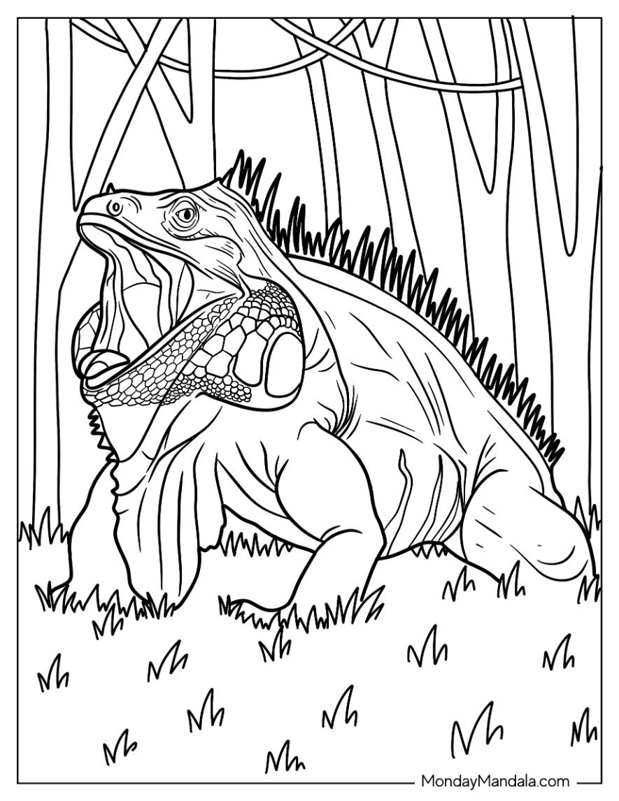 Lizard coloring pages free pdf printables