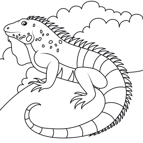 Cartoon iguana coloring page free printable coloring pages