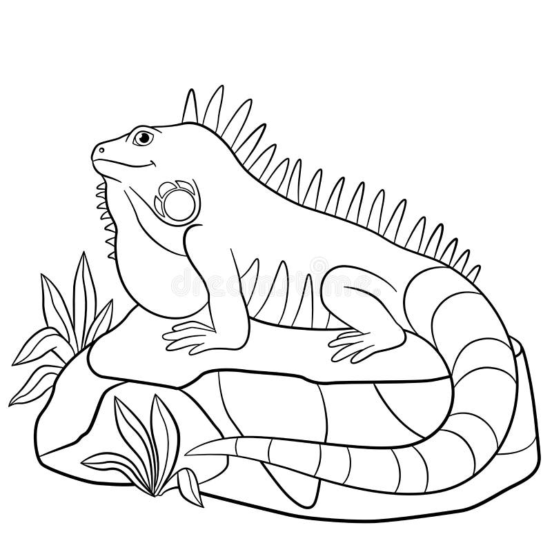 Coloring pages cute iguana sits on the rock stock vector