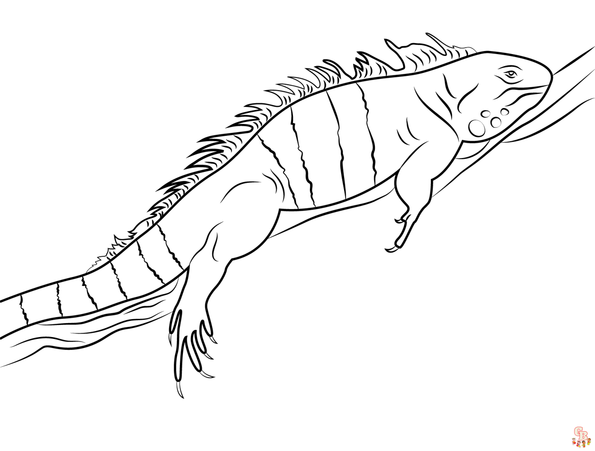 Discover free and printable iguana coloring pages on