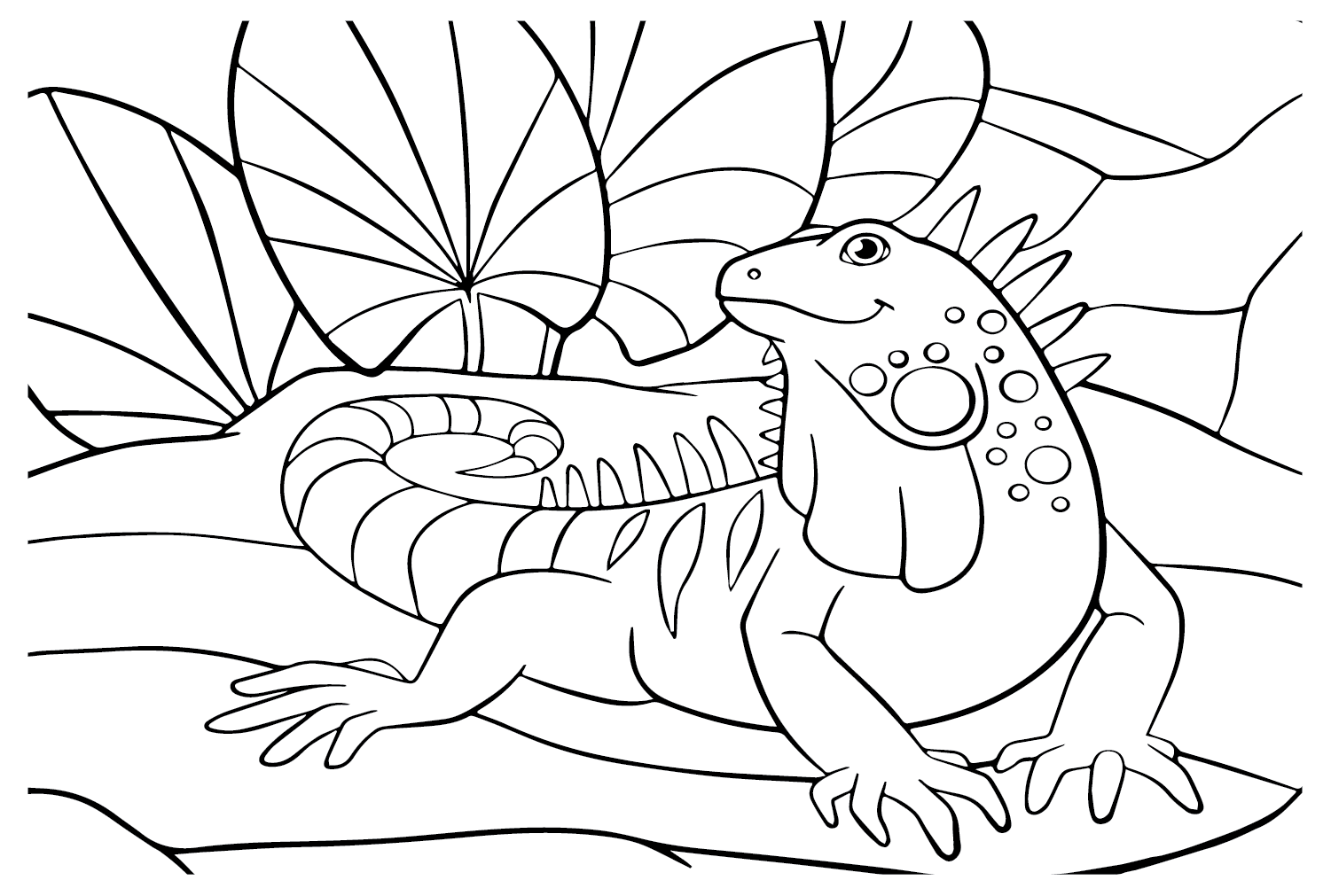 Iguana coloring pages