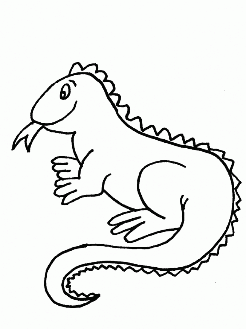 Free printable iguana coloring pages for kids