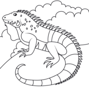 Iguana coloring pages free coloring pages