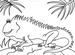 Iguana coloring page coloring pages animal coloring pages coloring pages for kids