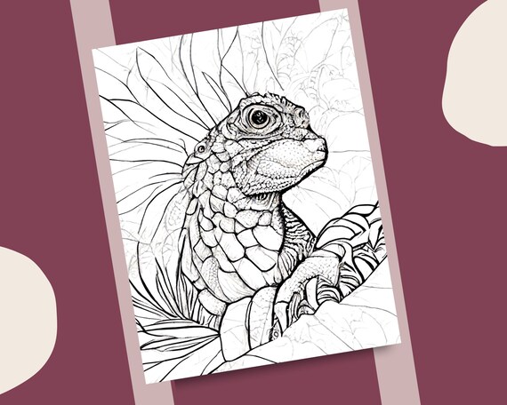 Iguana coloring pages realistic iguanas fantasy design printable coloring book for adults and kids detailed animal coloring page