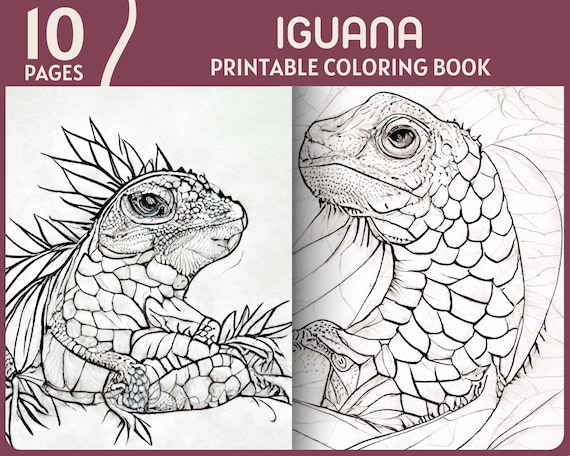 Iguana coloring pages realistic iguanas fantasy design printable coloring book for adults and kids detailed animal coloring page