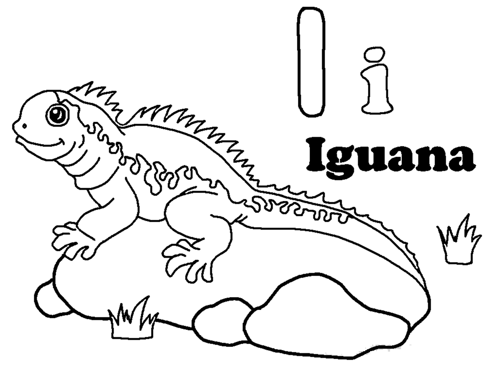 Free printable iguana coloring pages for kids