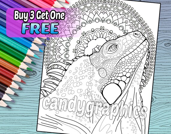 Iguana adult coloring book page printable instant download