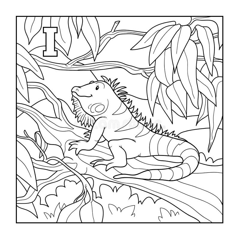 Iguana stock illustrations â iguana stock illustrations vectors clipart