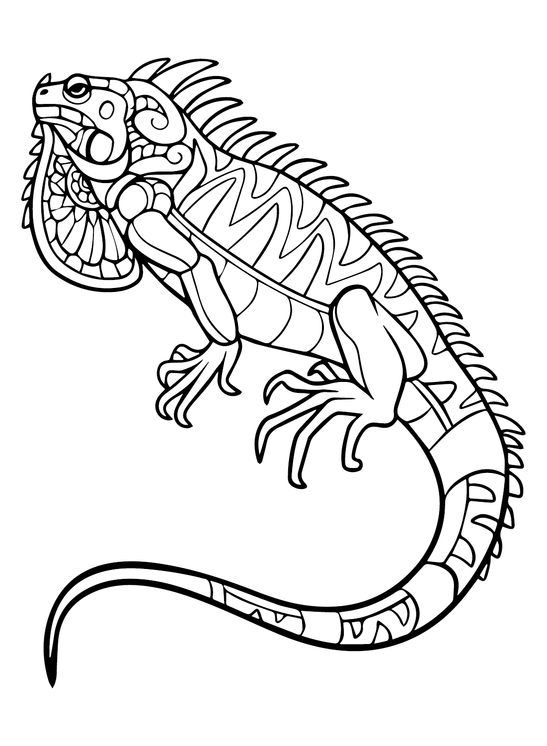 Iguana coloring pages