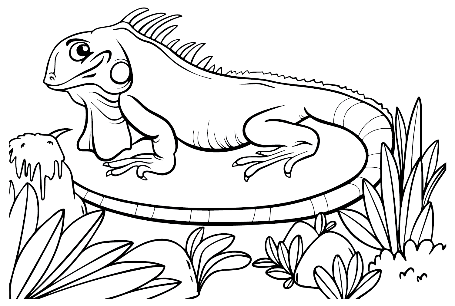 Iguana coloring pages