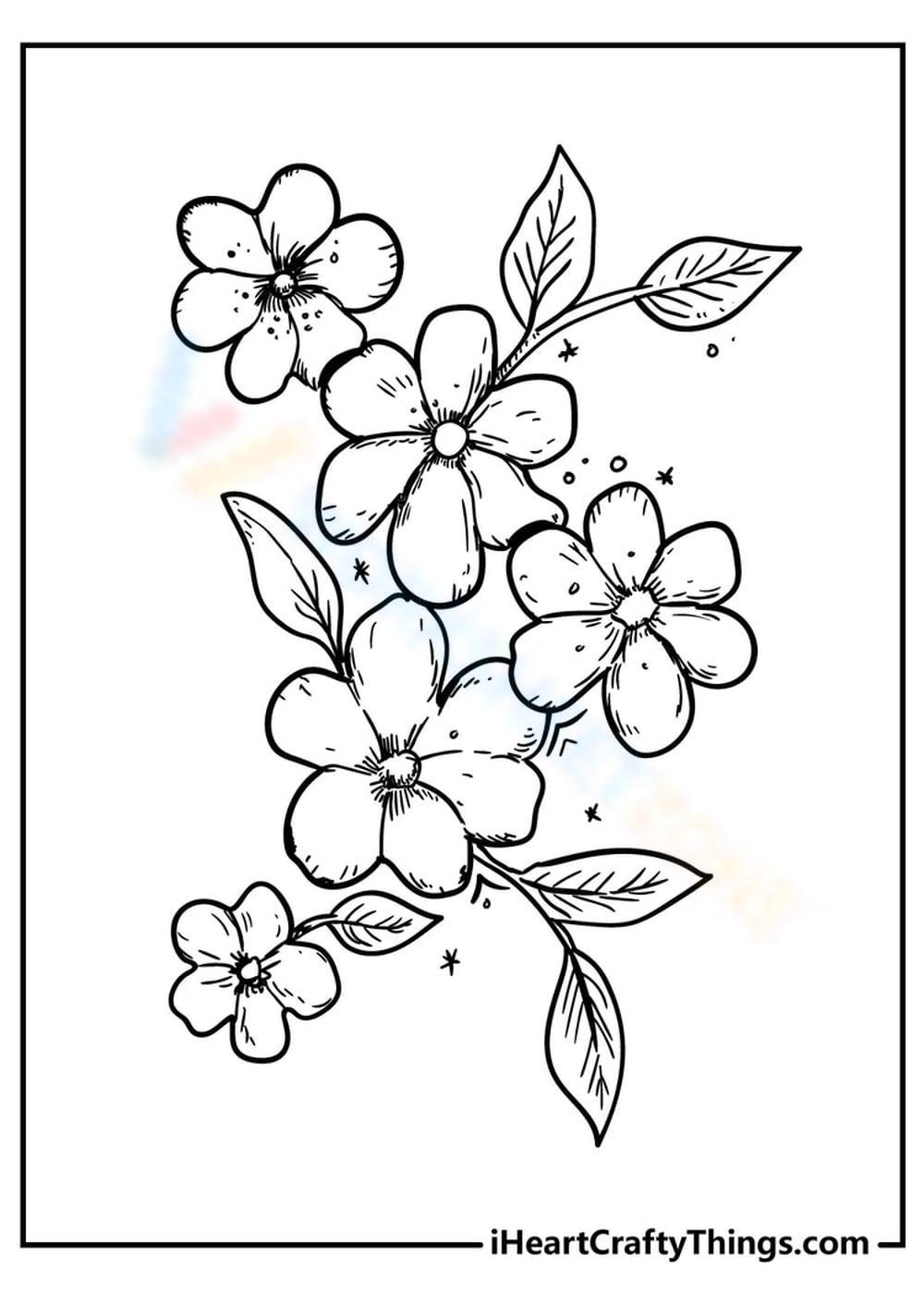 Periwinkle flowers worksheet